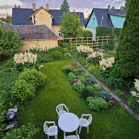 Aliise Garden *