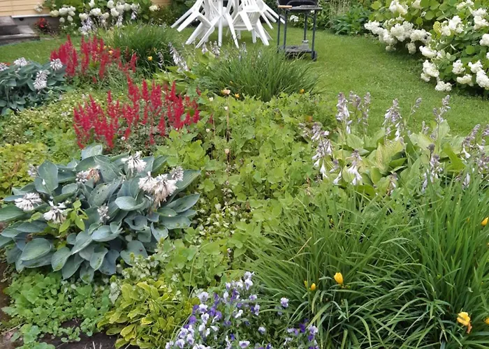 Aliise Garden Дом отдыха *